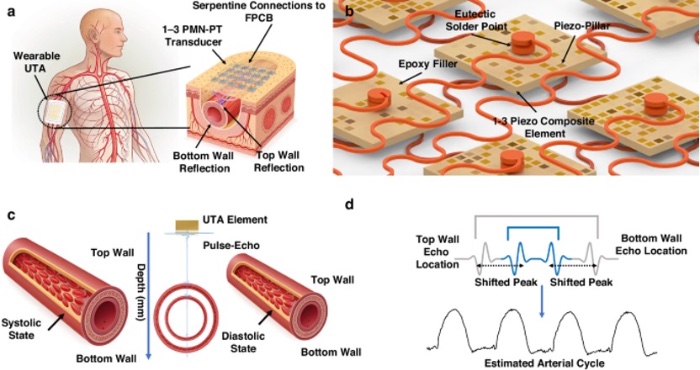 ���Գ������������еĸ������ͼʾ