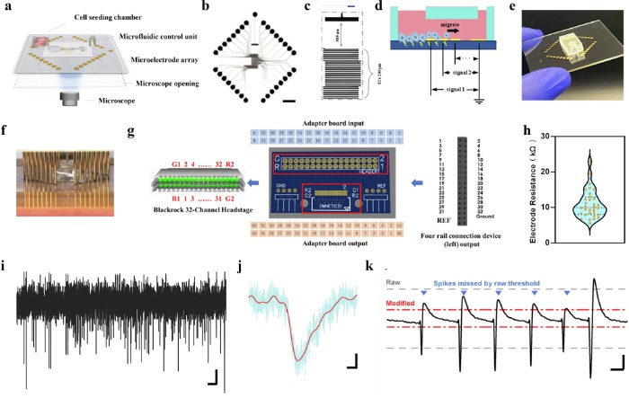����ʵʱ�������-���໥���õ�΢���ص�����ƽ̨