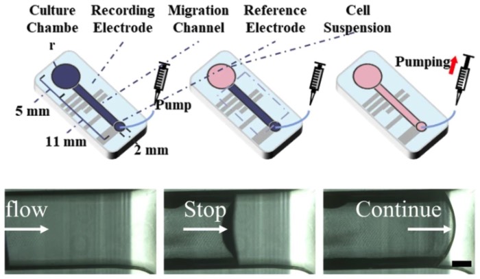 һ������΢����ϵͳ��ּ���񾭻����г����յ�������ϸ����Ϯ����ϵͳ����ǻ�ҡ�΢ͨ�������ýӿں��������
