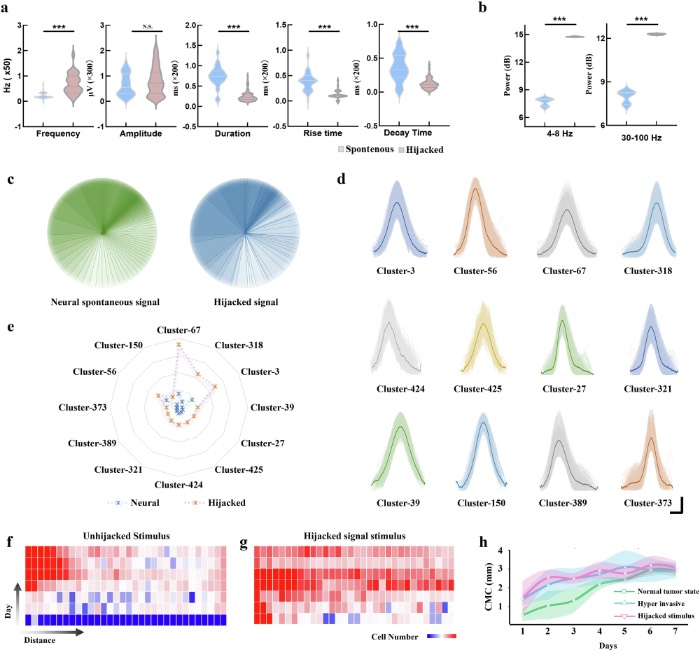 ���ٳֵ����ź���û��ֱ���񾭲������������������ĸ���Ϯ����Ϊ
