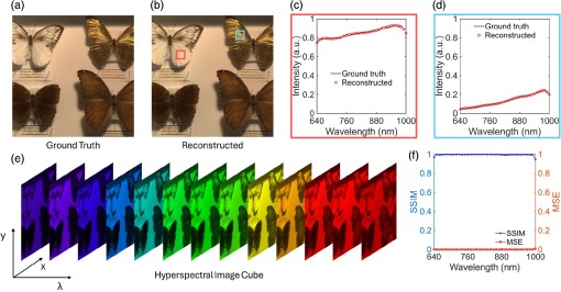 �����߹��׳���Ӧ����֤