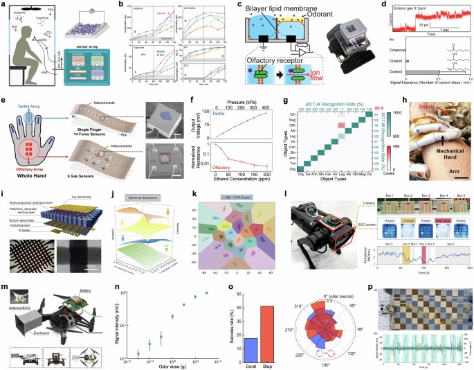 机器人嗅觉用于搜救行动