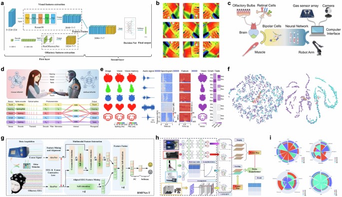 机器人嗅觉用于多模态学习