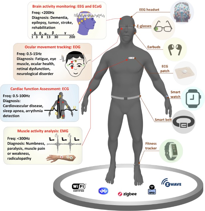 用于人体健康监测的生物传感器概览