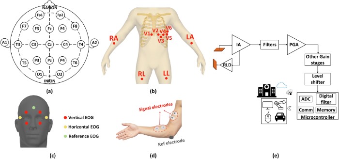 生物电信号检测的电极放置
