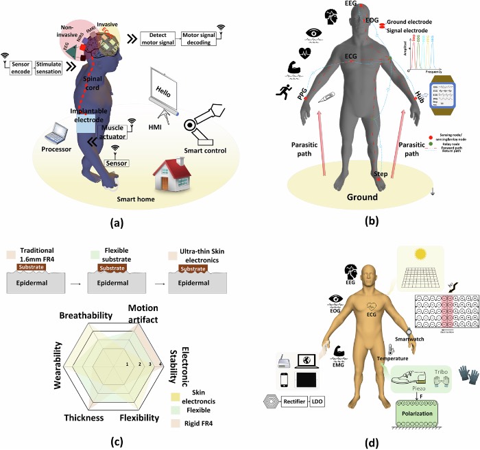 与生物传感器发展相关或对其发展有启发的潜在领域