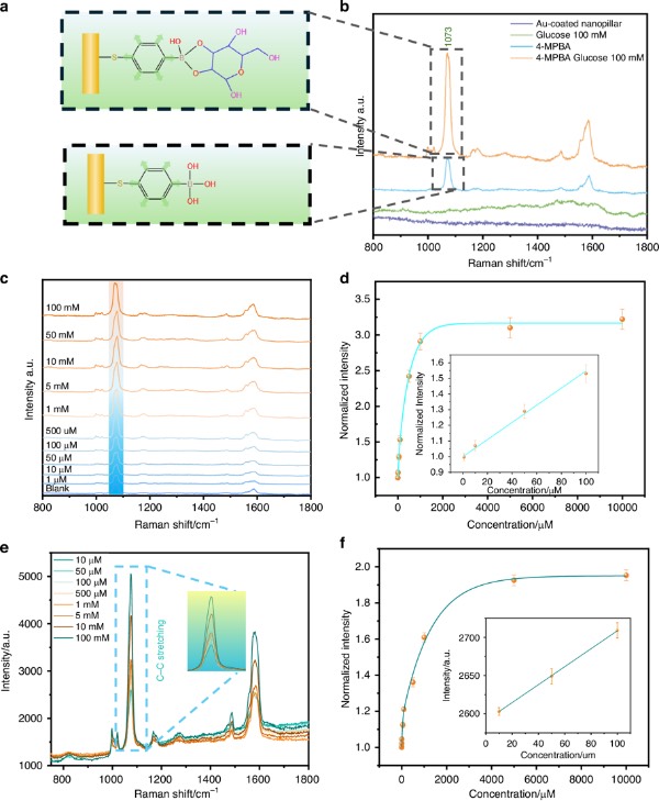 ����������������SERS����
