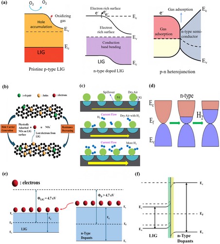 ����LIG�����崫�л���