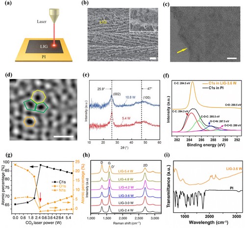 LIG�Ľṹ����������