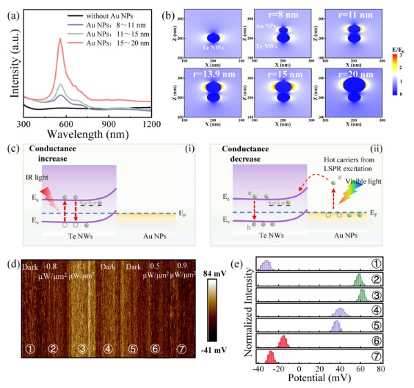 所开发的等离子体光电忆阻器的工作机制