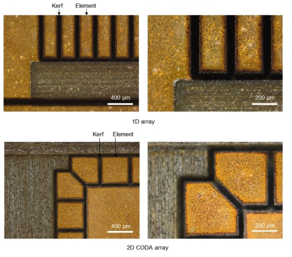 1D��2D CODA������΢ͼ��