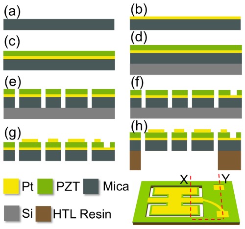 基于柔性支撑层的固支梁-悬臂式压电MEMS扬声器的制备流程
