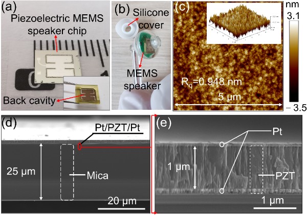 固支梁-悬臂式压电MEMS扬声器芯片、PZT表面粗糙度及SEM图像