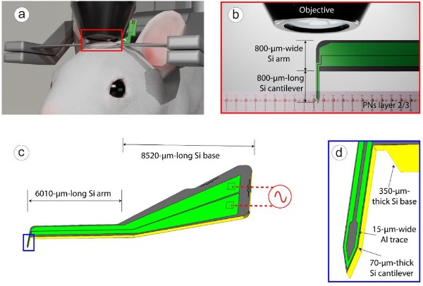 MEMS΢��Ȧ̽��ʾ��ͼ