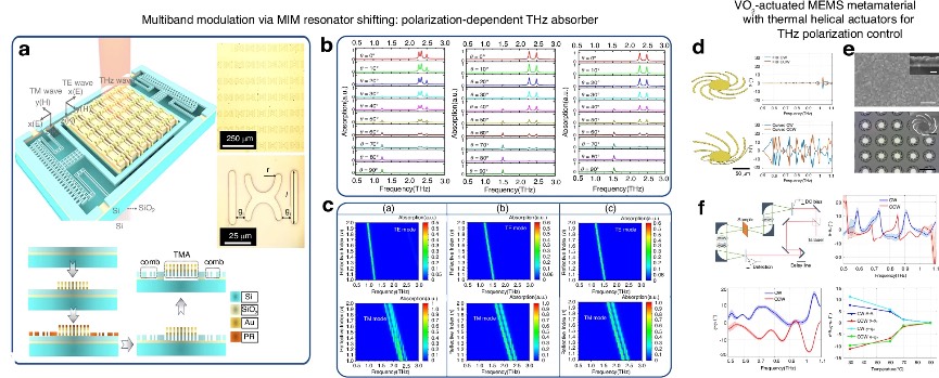 太赫兹频率与偏振调谐应用