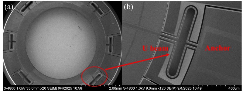 AlN压电环形MEMS陀螺仪的扫描电镜(SEM)图像