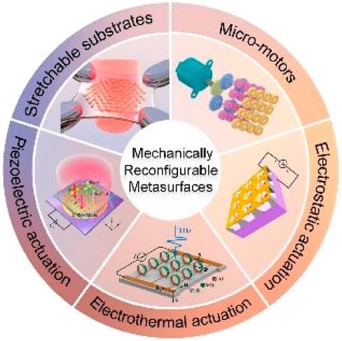 ��е���ع������������ͼ