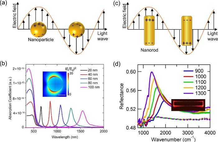 纳米颗粒与纳米棒天线中的等离激元共振机制