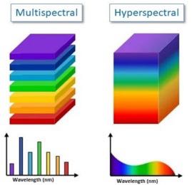 �������߹��׳���Ա�