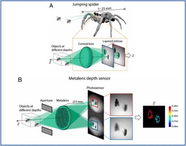 ���ڳ���͸������ȴ���������Ӧ��չʾ