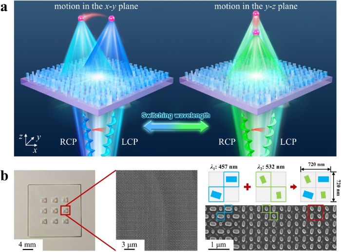 ���ڳ��������Ƭ����ά��ѧ�ٿ�ƽ̨