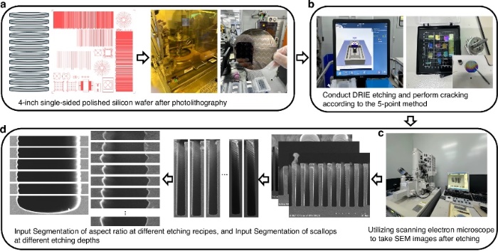 �������ݲɼ���ͼ��Ԥ����