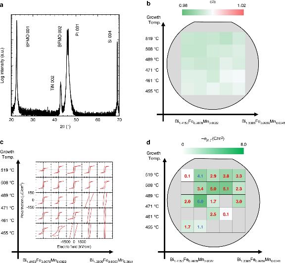 �̲��������鱡Ĥ�Ľṹ���ѧ����ͼ�ױ���