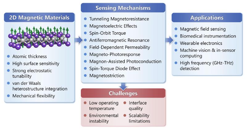 ���������򴫸м����Ķ�ά���Բ���